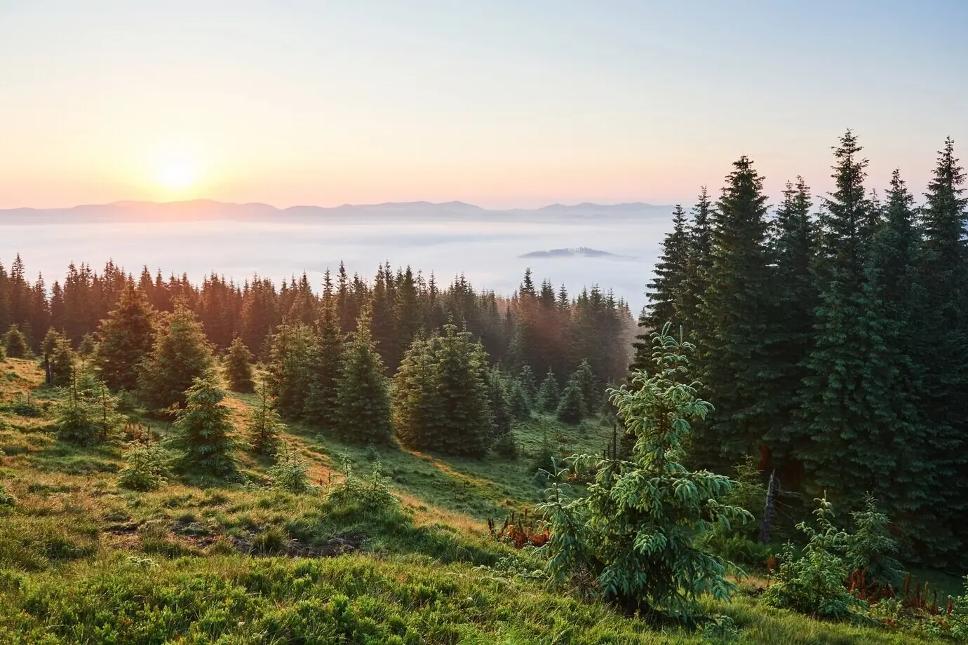Reisen, Trekking. Sommerlandschaft – Berge, grünes Gras, Bäume und blauer Himmel.
